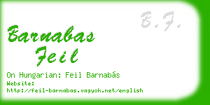 barnabas feil business card